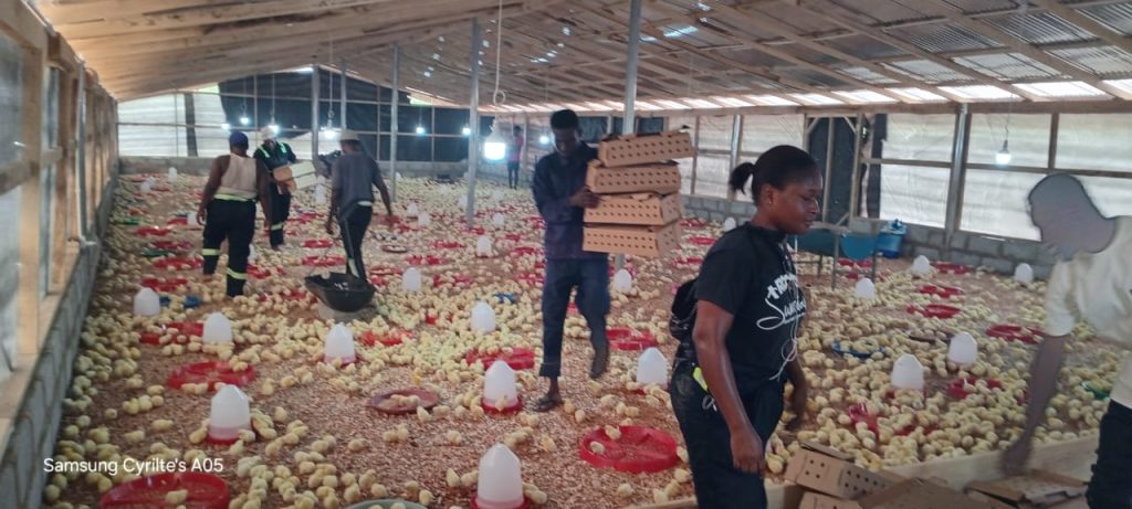 Ghana National Service Authority Kickstarts President Mahama’s “Nkoko Nkitikiti” Vision